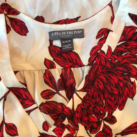 A Pea In The Pod  |  Top! - Picture 7 of 8